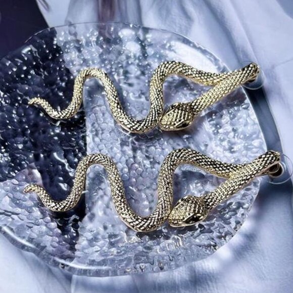 Retro Snake Earrings for Women-Vintage Goth Punk Snake Earrings - Picture 6 of 7